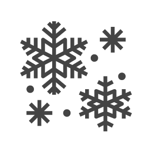 snow icon